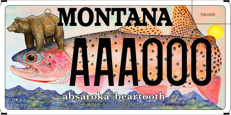 A license plate with white and black text. An illustration of a large rainbow trout with a grizzly bear on its head. Text at bottom of plate says Absaroka Beartooth Wilderness Foundation.