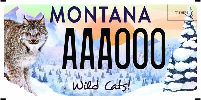 A license plate with black text. Illustration of a snowy mountain scene with snow covered pines and mountains. Bobcat is on left. Text at bottom says Wild Cats.