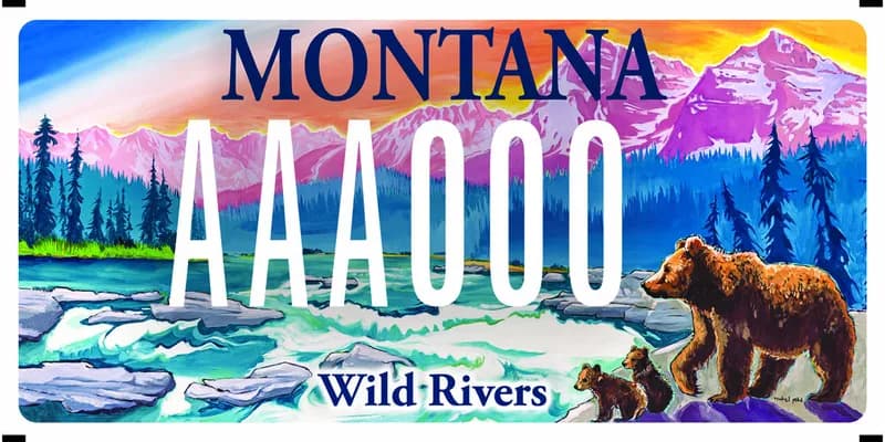 A license plate with white and steel blue text. A colorful illustration of a wild landscape of pink mountains, blue trees, and a sow grizzly bear with two cubs looking across a rapid river. Text at bottom of plate says Wild Rivers.
