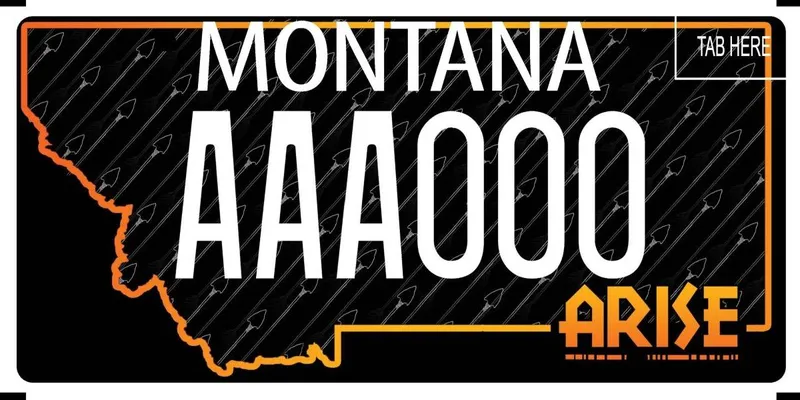 A black license plate with white and orange text. Outline of state in orange. Arrow outlines fill the state outline. Bottom says Arise.