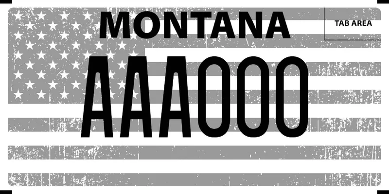 A license plate with a gray scale, distressed American flag as background and black text.