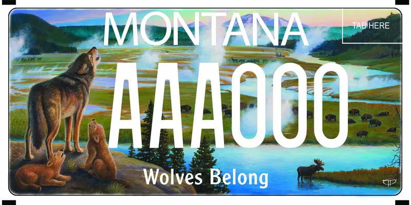 A license plate with white text. An illustration of Yellowstone National Park backcountry with a female wolf with two pups all howling. Elk, buffalo, and moose along river valley floor. Text at bottom says Wolves Belong.