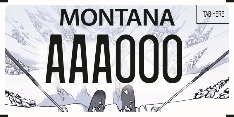 A white, gray, and blue steel license plate with black text. An illustration of a skier's ski tips overlooking a snowy drop off with pine trees.