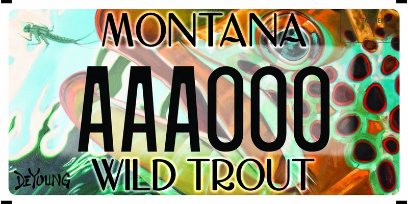 A license plate with black text. Large rainbow trout head with bug. Text at bottom says Wild Trout.