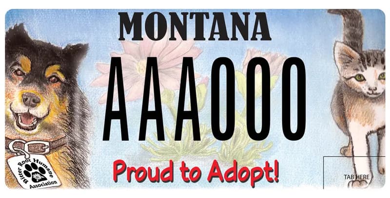 A license plate with black and red text. Drawing of a dog on left and cat on right with flowers in middle. Bottom text says Proud to Adopt.