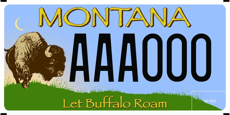 A license plate with black and yellow text. An illustration of a a buffalo on a grassy field and cresent moon. Bottom text says Let Buffalo Roam.
