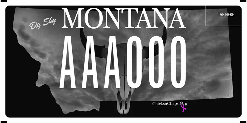 A black and grayscale license plate with white text. State shape with cow skull in middle. Bottom text says Chicks N Chaps dot org.