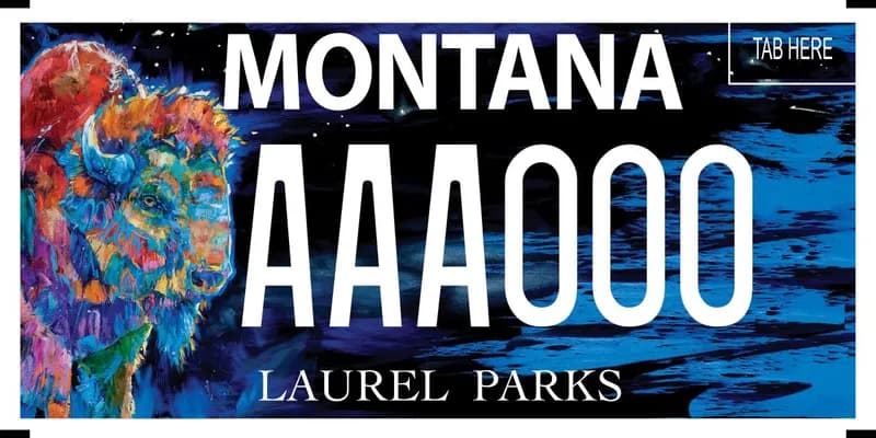 A black and blue license plate with white text. A multi colored buffalo on left; red, blue, green, purple, pink. Bottom says Laurel Parks.