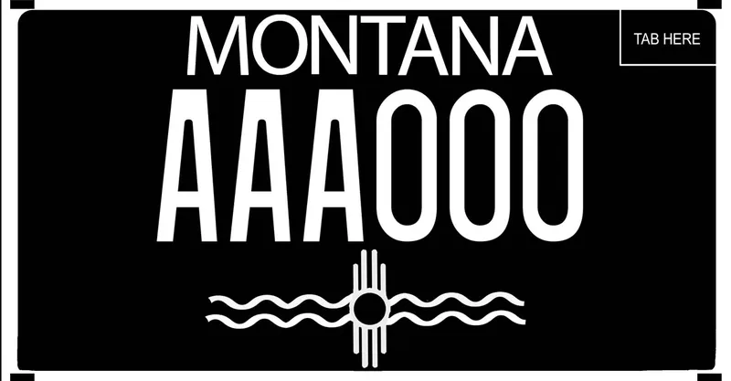 A black license plate with white text. Accent symbol with wavy lines at bottom.