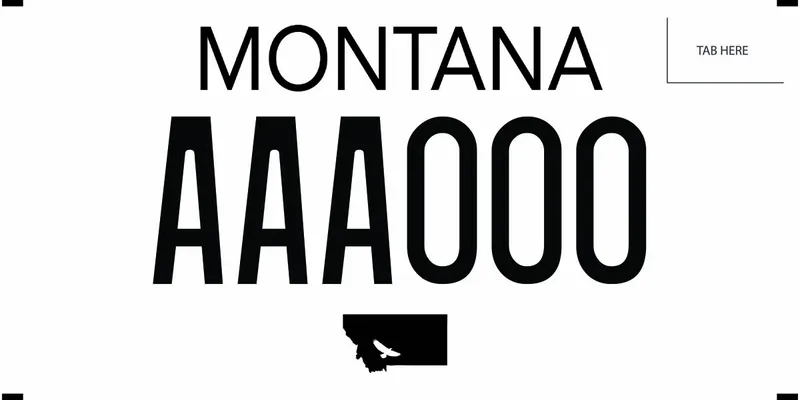 A white license plate with black text. A small, black outline of the state on bottom with white cut out of an eagle.
