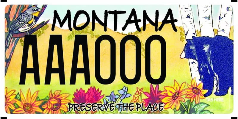 A license plate with black text with an illustration of a meadowlark, aspen, wildflowers, black bear, and rolling hills. Bottom text says Preserve the Place.