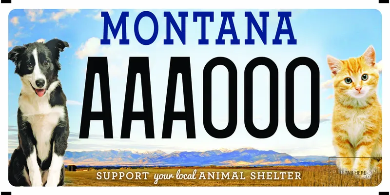 A license plate showing a grasslands landscape with mountains in the distance. A border collie black and white dog on the left and a orange striped kitten on right. Bottom says Support Your Local Animal Shelter.