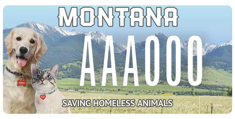 A license plate with white text. Photo of mountain range and valley. Dog and cat on left side. Bottom says Saving Homeless Animals.