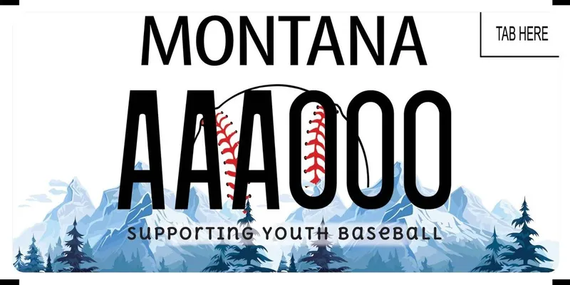 A white license plate with black text. Illustrated, blue mountains and pine trees on bottom. A baseball is in center of two mountain peaks. Bottom says Supporting Youth Baseball.