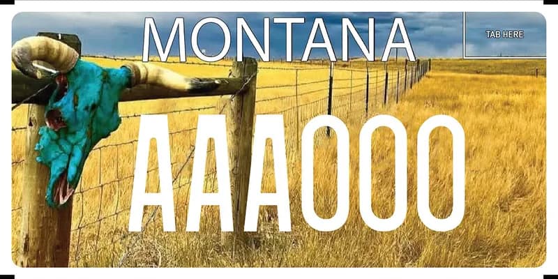 A license plate with white text with photo of a hay field and a barb wire fence with a stormy sky. A turquoise buffalo skull hangs from fencepost.