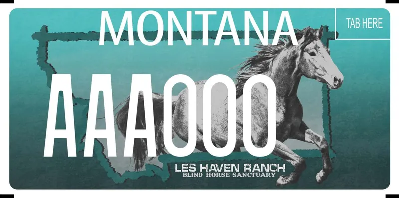 A teal license plate with white text. Outline of state in darker teal with a gray-white horse galloping out of the lower right side. Bottom says Les Haven Ranch, Blind Horse Sanctuary.