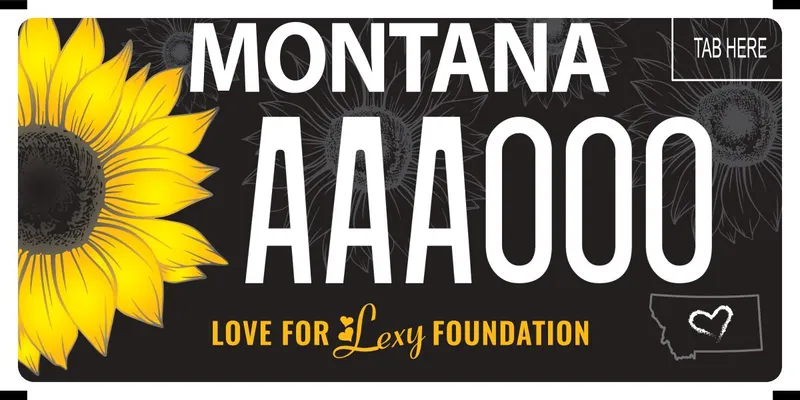 A black license plate with white and yellow text. Large, yellow sunflower is whole right side. Grayscale daisies are background. Bottom says Love for Lexy Foundation in yellow. Bottom right corner is the state outline with a heart in the middle.