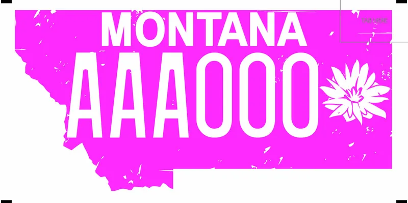 A pink license plate with white text. A white bitterroot flower on right.