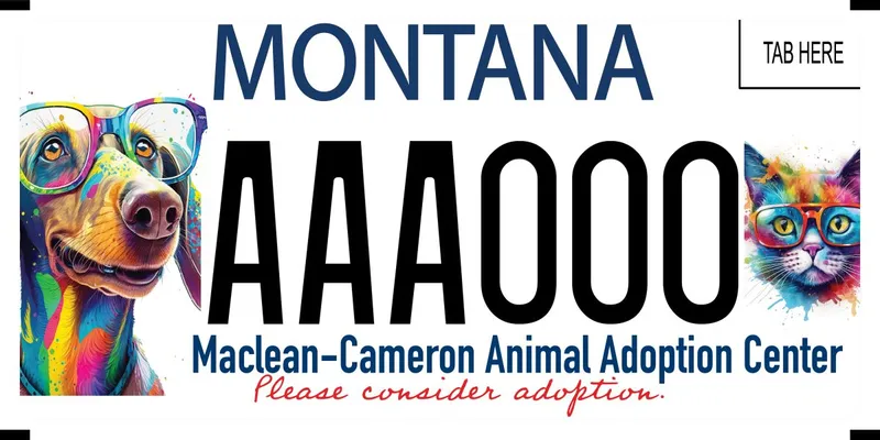 A white license plate with black and red text. Left and right side is a multi-colored purple, pink, green, blue, and yellow dog and cat wearing glasses. Bottom says Maclean Cameron Animal Adoption Center and Please Consider Adoption in cursive.