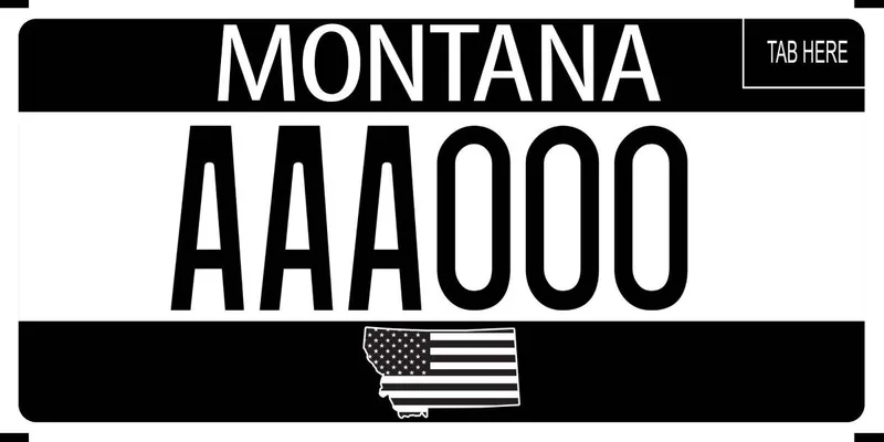 Aa black and white striped license plate. Bottom of plate has a state of outline with a black and white American flag inside of state.