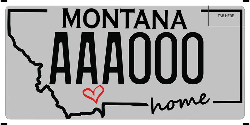 A gray license plate with black text and a black outline of the state. A red heart and the word home at bottom.