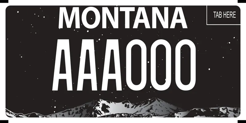 A black license plate with white text. Bottom is snow covered mountain range. Black sky with stars.