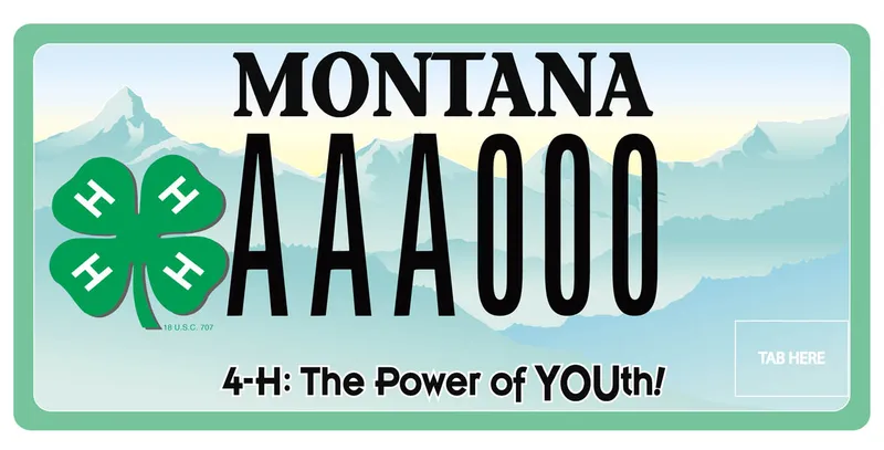 A license plate with black text. Illustration of mint green mountains and the 4 H clover logo on left side. Bottom says 4 H The Power of Youth.