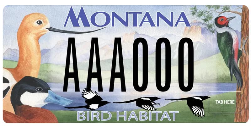 A license plate with black and lavender text. Illustration of various Montana birds with a lake and mountains in background. Bottom says Bird Habitat.