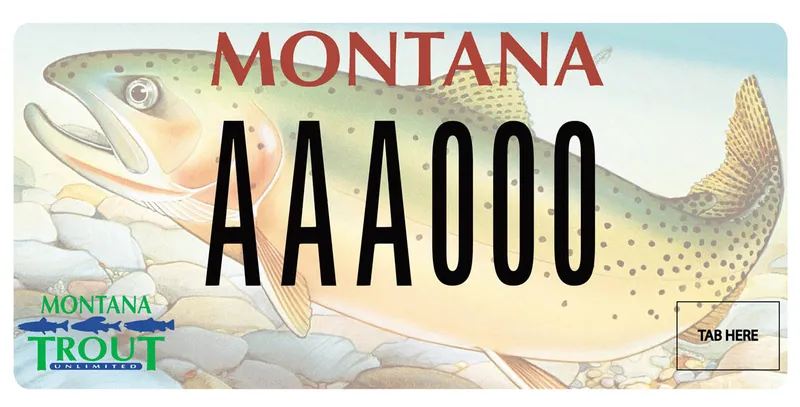 A license plate with black and rust text. Illustration of trout cover whole plate. Montana Trout Unlimited logo in lower left corner.