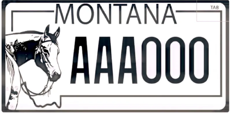 A white license plate with black text. On left is a black and white illustration of a horse with bridle.