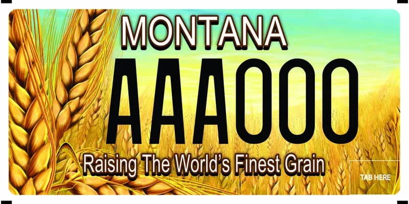 A license plate with black and white text. Illustration of large wheat stalks fill plate. Bottom says Raising the World's Finest Grain.