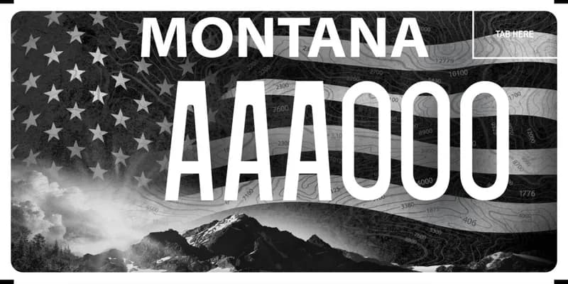 A black and grayscale license plate with white text. Rugged mountains on bottom. Sky is the american flag with topography marks.