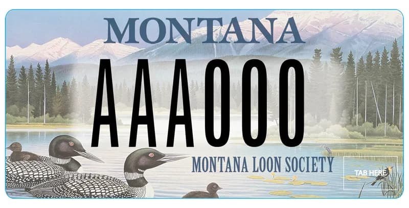 A license plate with black and blue text. An illustration of loons on a lake with mountains and pines in background. Bottom says Montana Loon Society.
