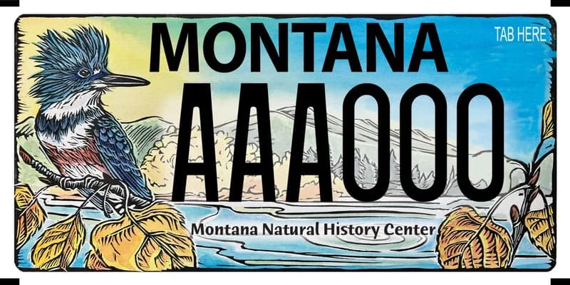 A license plate with an illustration of a natural habitat of hills, water, and trees with a Lewis woodpecker. Text is black and says Montana Natural History Center at bottom.