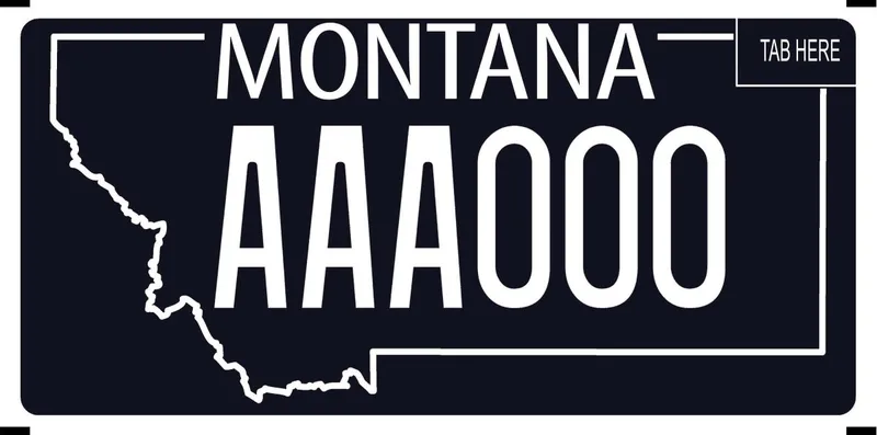 A black license plate with white text. White outline of state.