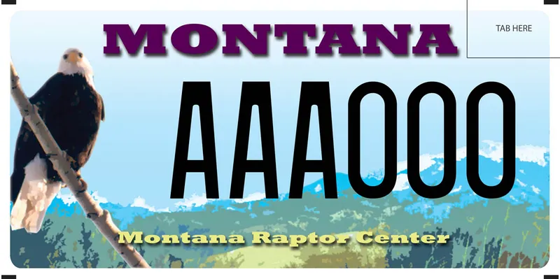 A license plate with purple, beige, and black text. Illustration of eagle on a tree branch and mountains in background. Bottom says Montana Raptor Center.