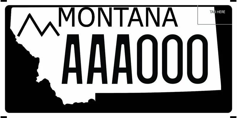 A black and white license plate with black text. State outline all white.