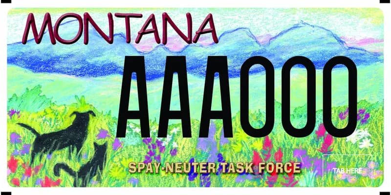 A license plate with red, black, and yellow text. A crayon or chalk drawing of a landscape with a dog and cat among wildflowers and mountains in distance. Bottom says Spay Neuter Task Force.