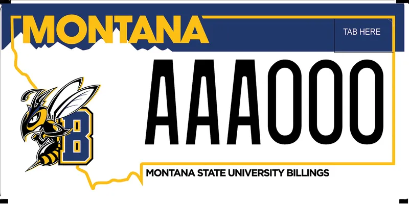 A white license plate with black and yellow text and yellow outline of state. Top has blue bar. Left has yellowjacket wasp and the letter B. Bottom says Montana State University Billings.