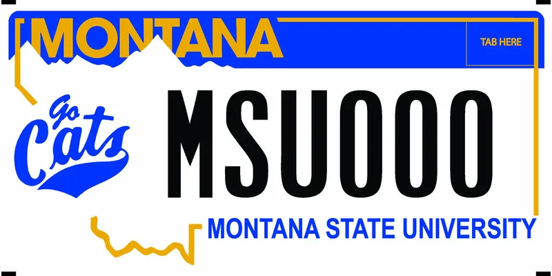 A white license plate with black, gold, and blue text. Gold outline of state. Go Cats logo on left. Bottom says Montana State University.