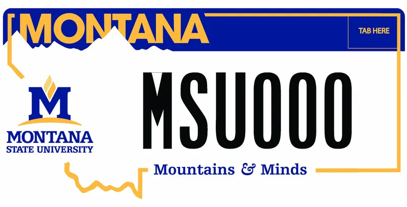 A white license plate with black, gold, and blue text. Gold outline of state. Montana State University logo on left. Bottom says Mountains & Minds.