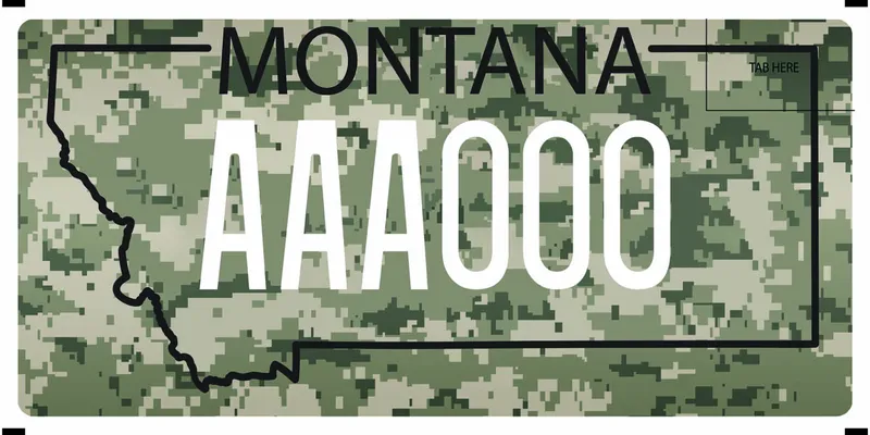 A license plate with white and black text. Black outline of state and camouflage pattern fills plate size.