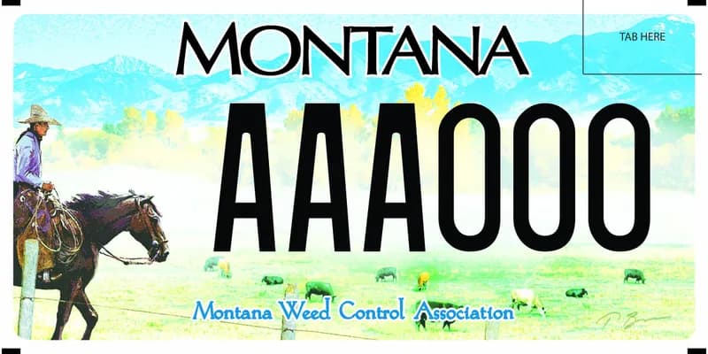 A license plate with black and blue text. Illustrated country side scene of cowboy riding horse, fenceline, and cows below. Mountains and aspens in background.