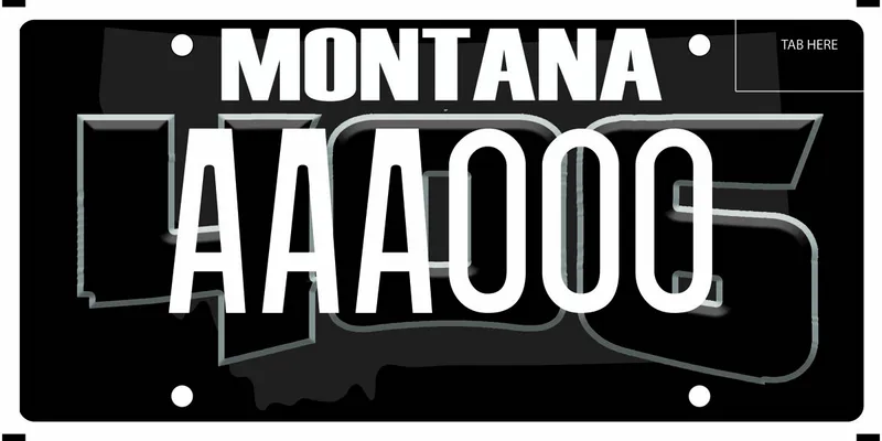 A black license plate with white text. State shape in background filled brown. 406 across.