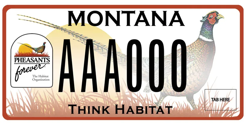 A white license plate with black text. Illustration of a pheasant among grass with large sun. Pheasants foever the habitat organization logo on left. Bottom says Think Habitat.