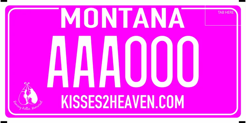 A hot pink license plate with white text. Ramsey Keller Memorial with boxing gloves in lower left corner. Bottom says Kisses 2 Heaven dot com.