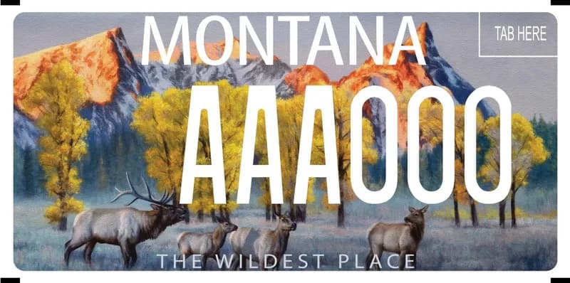 A license plate with white text and landscape painting of elk, mountains, and trees in fall foilage. Bottom says The Wildest Place.