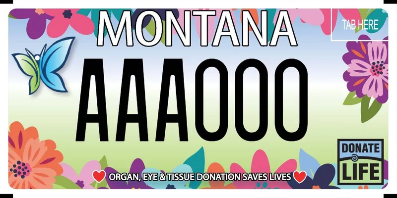A license plate with white and black text. Illustrated flowers along top and bottom and a butterfly. Bottom has Donate Life logo and says Organ, Eye & Tissue Donation Saves Lives.