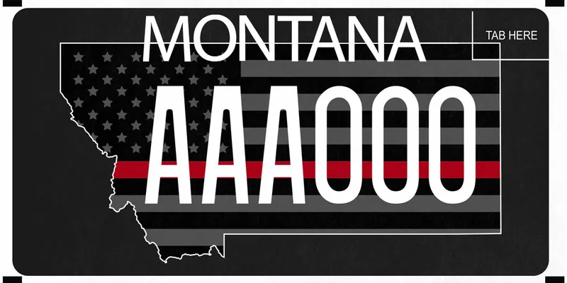 A gray license plate with white text. State outline filled with American flag with a red line running across.