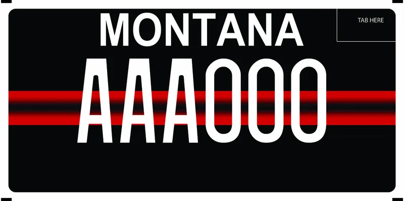 A black license plate with white text. A red line runs through middle of the plate.